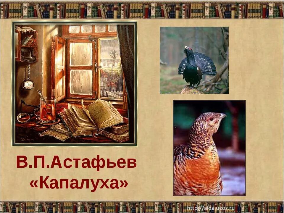 Капалуха астафьев краткое содержание. В П Астафьев Капалуха. Капалуха Астафьев книга. В П Астафьев Капалуха 3 класс.