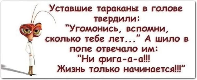 Высказывания про тараканов в голове. Афоризмы про тараканов в голове. Цитаты про тараканов в голове прикольные. Смешные высказывания про тараканов в голове.