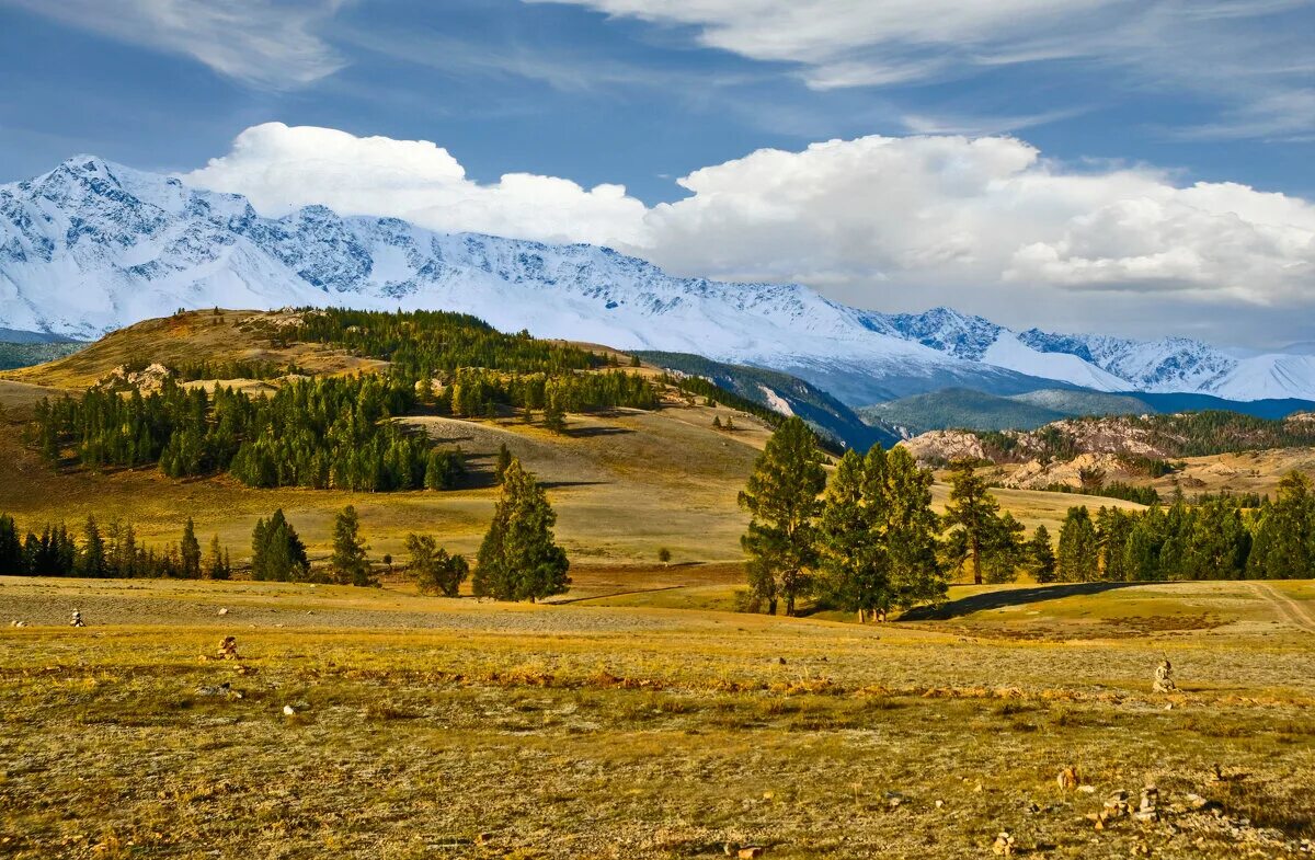 Курай (Республика Алтай). Алтай курай горы. Поселок курай. Курай селр горный Алтай.