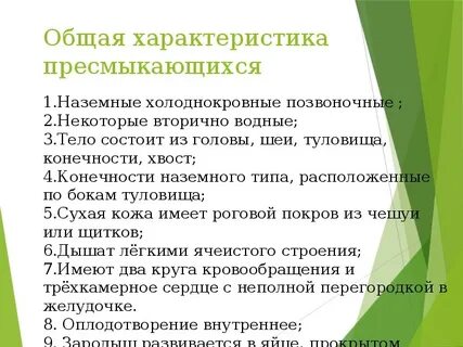 Общая характеристика класса это