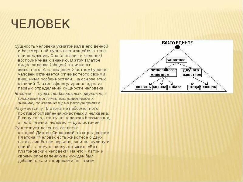 Платон сущность. Сущность человека платон. сущность человека. душа сущность человека. платон философия сущность человека.