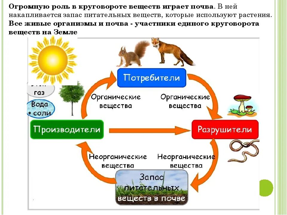 Презентация круговорот веществ в природе 5 класс. Модель круговорота веществ в природе 3 класс окружающий мир. модель демонстрирующая круговорот веществ в природе. модель круговорота веществ в природе 3 класс окружающий мир своими. модель демонстрирующая круговорот веществ 3 класс окружающий мир.