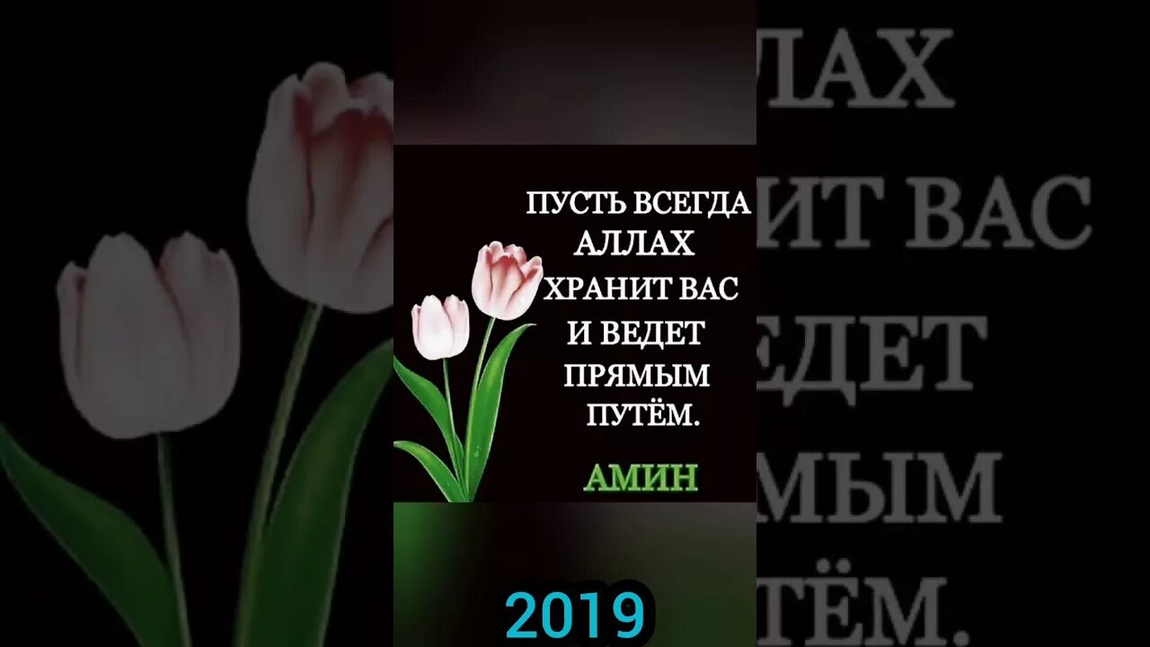 Насихат в исламе. Панду насихат. Насихат барои чавонон. Панду насихат. Фото панду насихат.