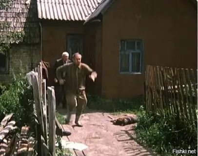 Где деревня белые росы