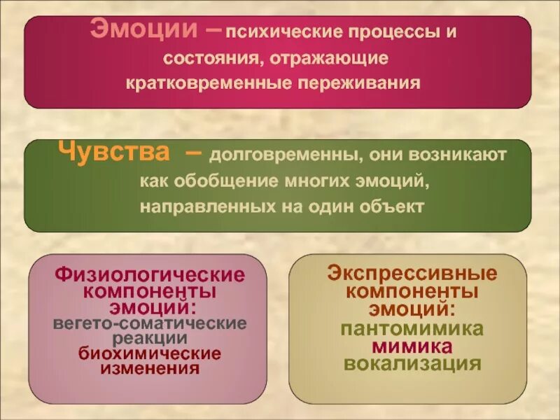 Эмоциональные психические процессы. Психические процессы эмоции чувства. Психофизические процессы. Эмоции это психический процесс