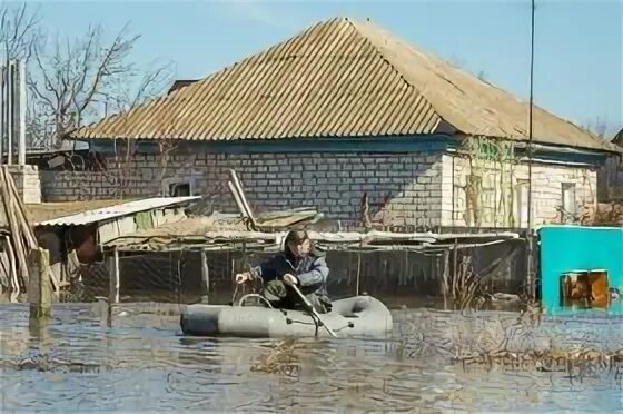 Зензеватка ольховский волгоградская область