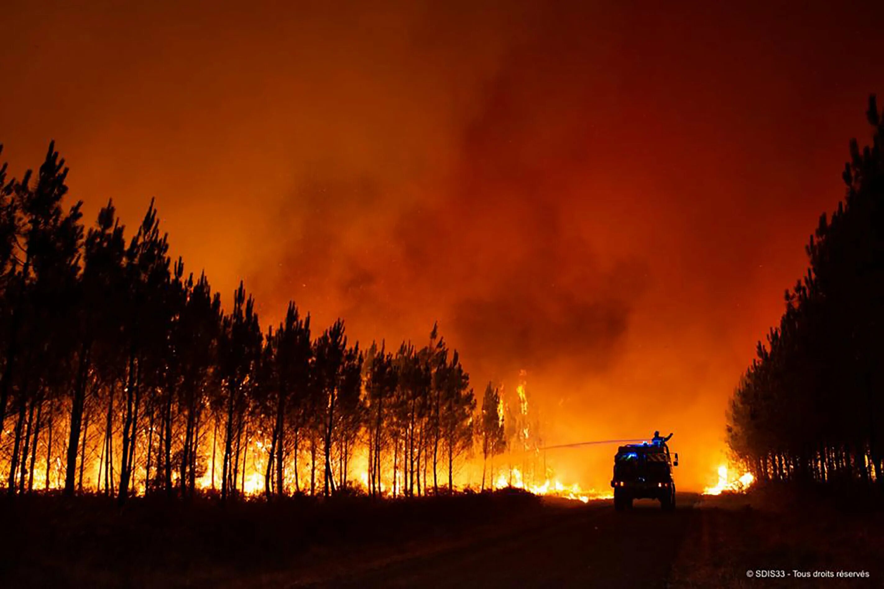 Лесные пожары во Франции 2022. Горящий лес. Лесные пожары в Испании. Большой Лесной пожар. Жара сгорела