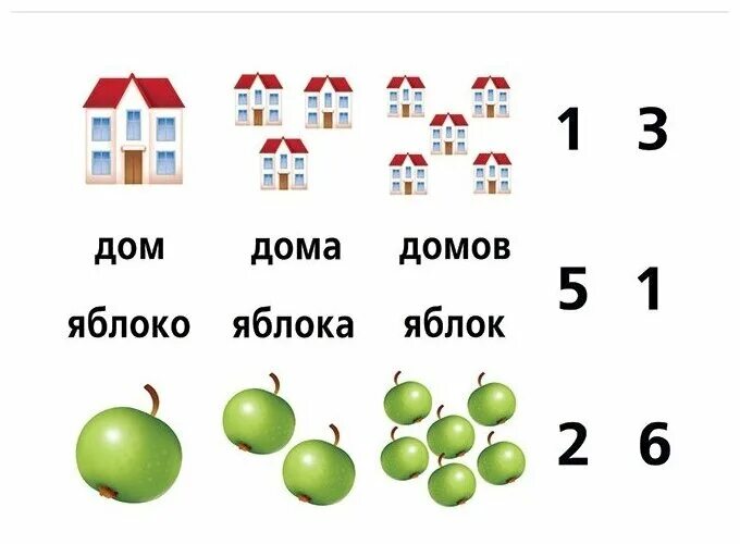 Согласование числительных с существительными. Согласование числительного и существительного. Согласование числительных с прилагательными. Согласование числительных с существительными. Согласование существительных и прилагательных.