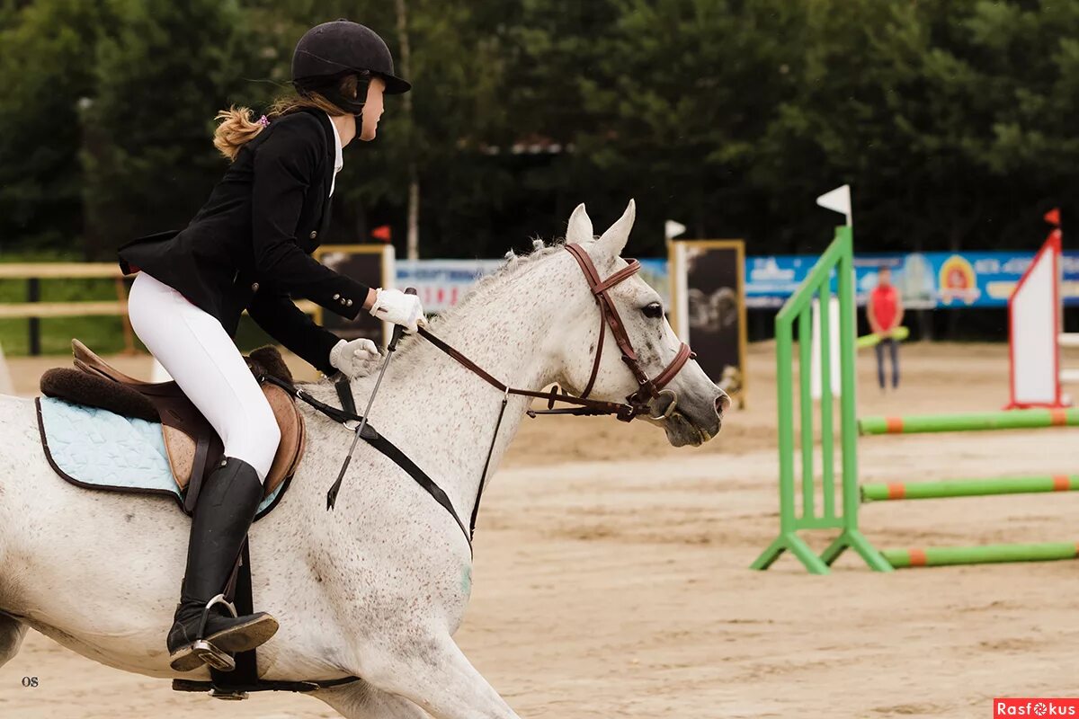 Гавриил морковкин конный спорт. Конкур максима парк. Чемпионка по конкуру. Конкур выступления. Пинто лошадь конкур.
