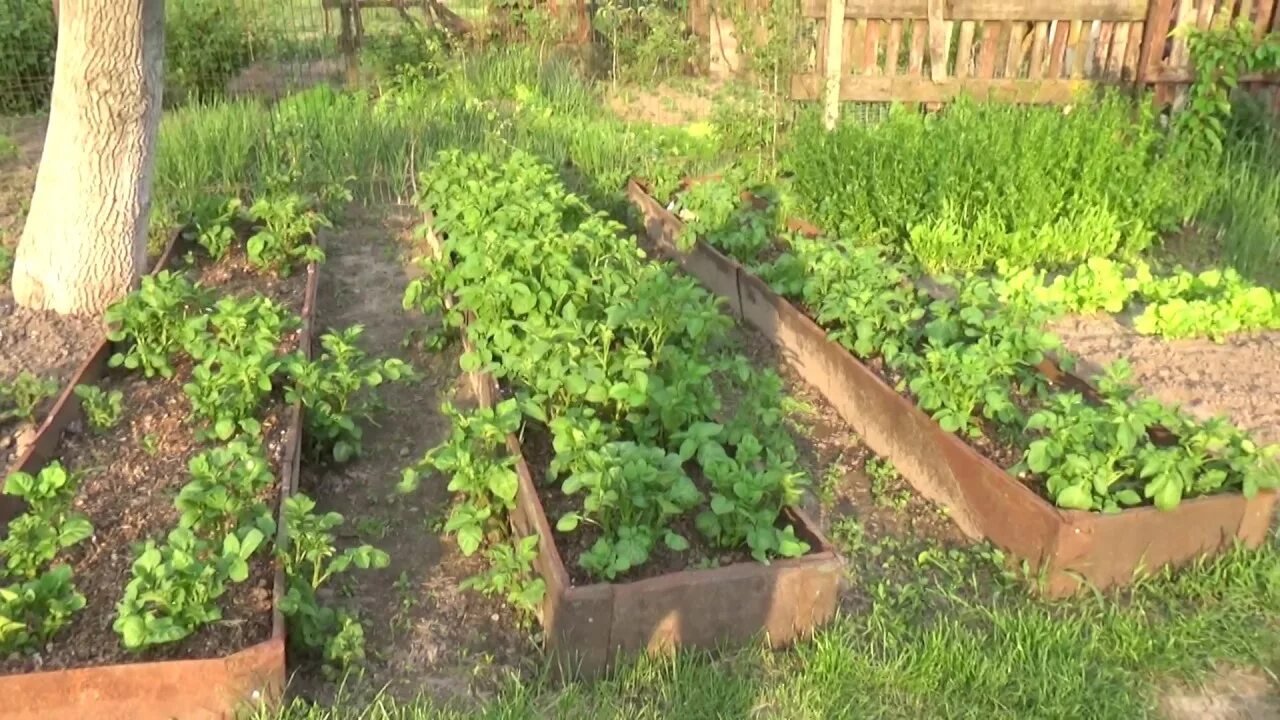 Раз два грядка. Грядки из дпк garden dreams. Ограждение для грядок. Грядки 1. 0х3.