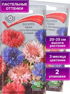 Васильки смесь