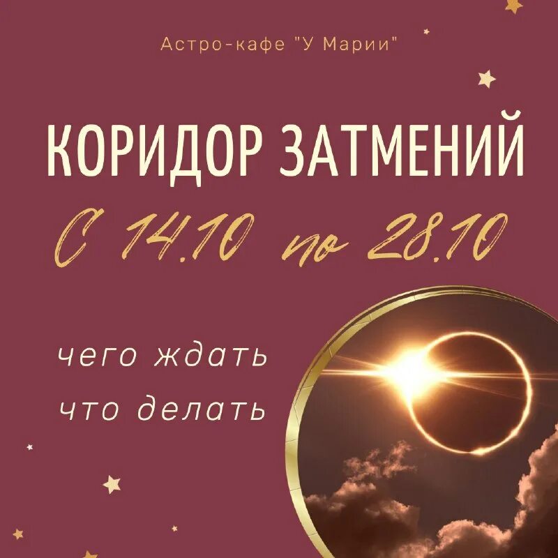 астро плаза свадьба. астро ресторан. астро плаза видное банкетный зал. астра плаза банкетный зал. астра плаза банкетный зал.
