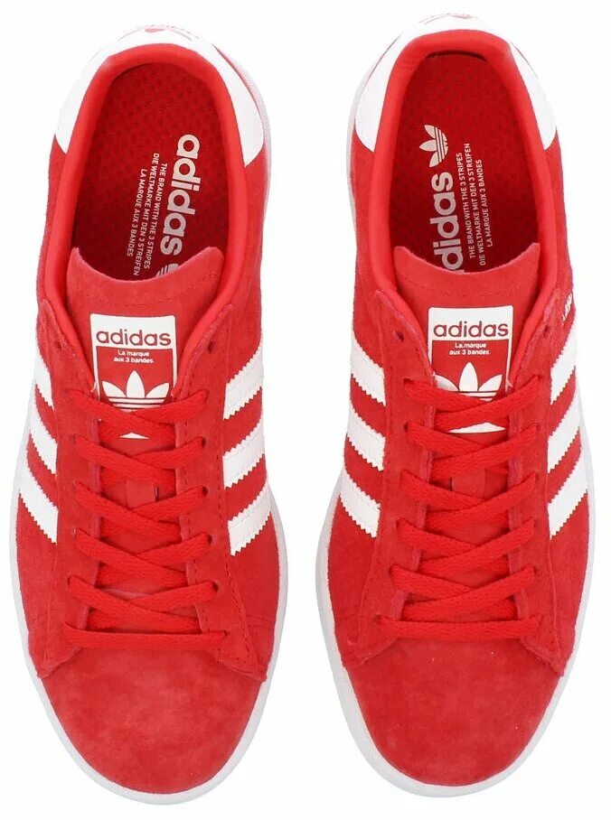 Adidas Campus Red. Кроссовки adidas Campus. Кроссовки адидас кампус. Adidas Campus красные. Кроссовки campus купить