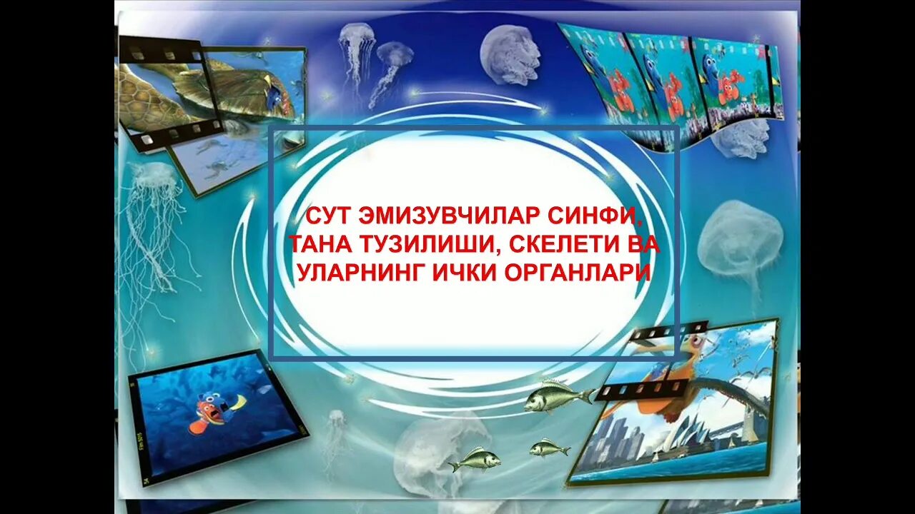 Иконка 9 лет. Китоби биология синфи 10. Китоби биология синфи 10. Биология синфи 11. Биология синфи 9.