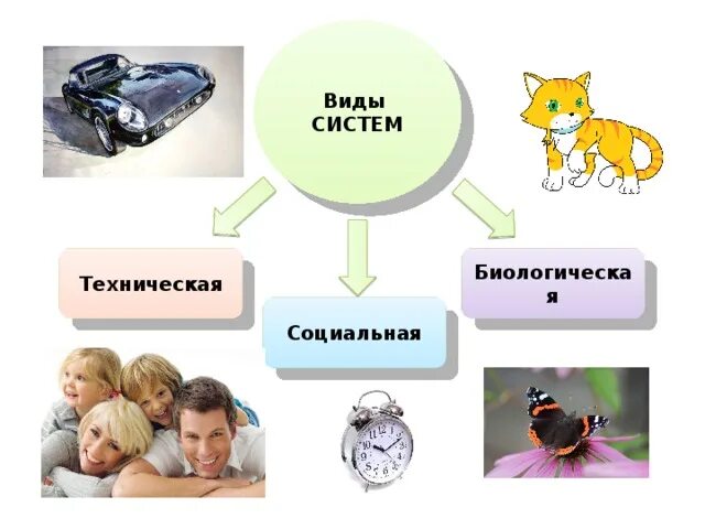 Техническое биологическое социальное управление. Технические биологические и социальные системы. Виды систем техническая биологическая социальная. Социальное биологическое и техническое. Виды систем.