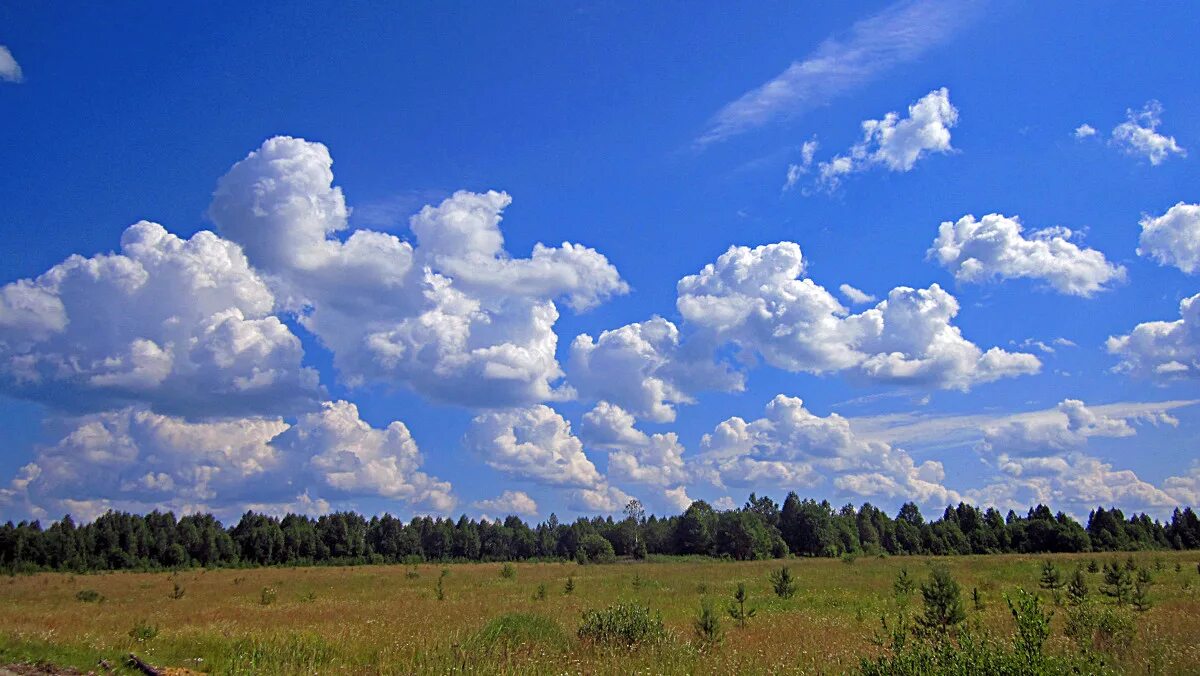 синее небо и осенний лес. красивое небо над волгой. несутся тучи. небесная синева. небо солнце.