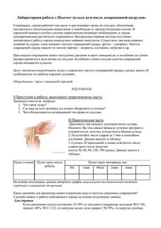 Лабораторная работа кожа 8 класс биология