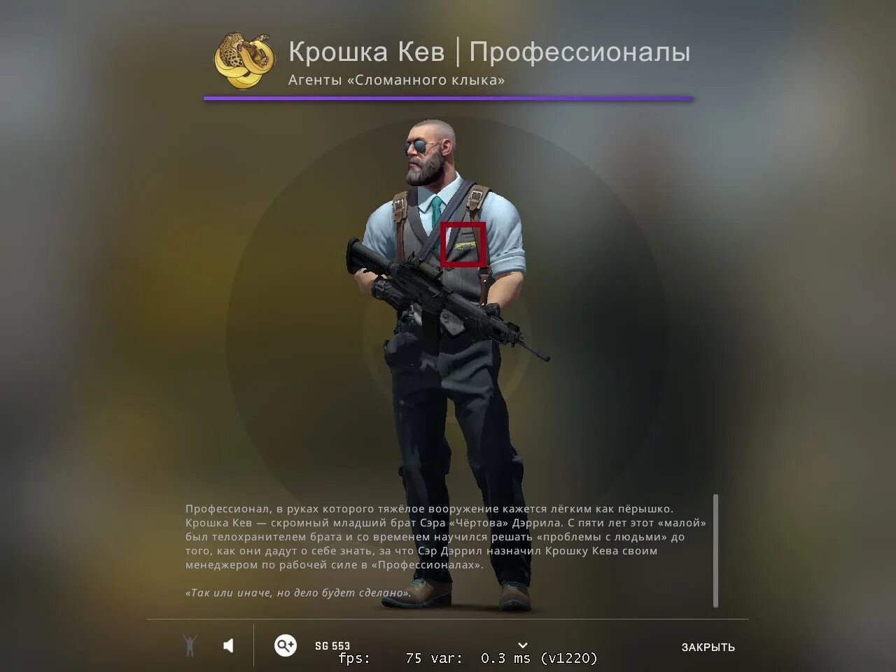 Вольцман агент кс. Вольцман агент кс. Вольцман кс го. Взломщица вольцманн профессионалы. Вольцман кс го.