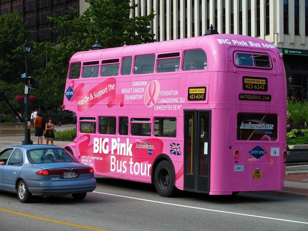Here come the bus