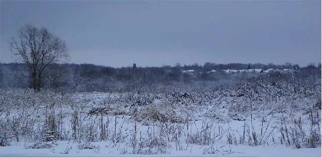 Санаторий солониха архангельской. Погода в солонихе. Погода в солонихе. Погода в солонихе. Озеро солониха.