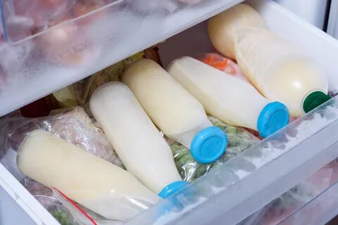 Можно ли хранить сыр в морозильной камере