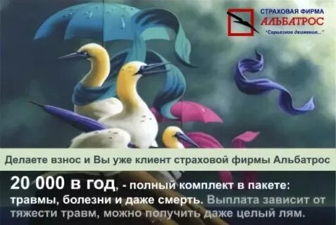 Альбатрос застрахуй