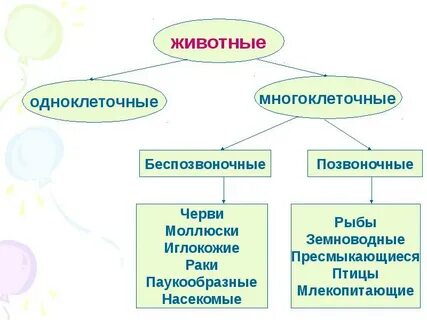 Сходства одноклеточных и многоклеточных