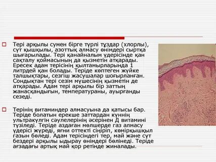 Қожайын мен құл арасындағы эротикалық ойын