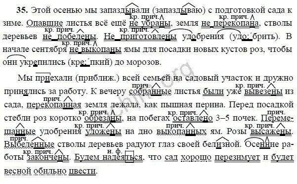 Русский язык 7 стр 35. Русский язык 7 стр 35. Русский язык 7 класс упражнение 35. Русский язык 7 стр 35. Русский язык 7 стр 35.
