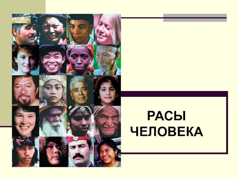 Расы человека результат. Расы людей. Человеческие расы. Расы человека презентация. 4 Расы людей.