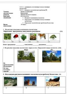 Определение экологической проблемы