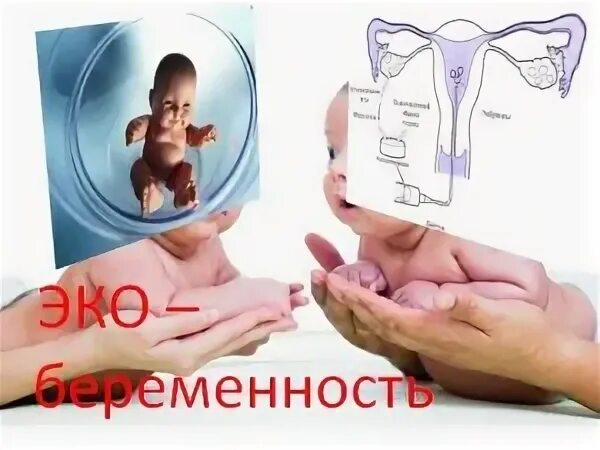 Эко мужа