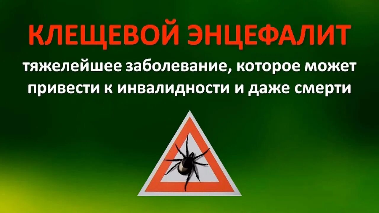 Осторожно клещи картинки. Осторожно клещи. Осторожно клещи памятка. Надпись осторожно клещи. Осторожно клещи реклама.