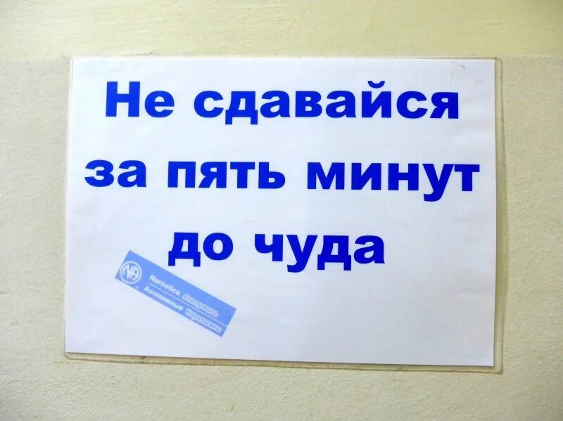 Войти на 5 минут. Лозунги анонимных. Лозунги анонимных наркозависимых. Лозунги анонимных алкоголиков. Девиз анонимных наркоманов.