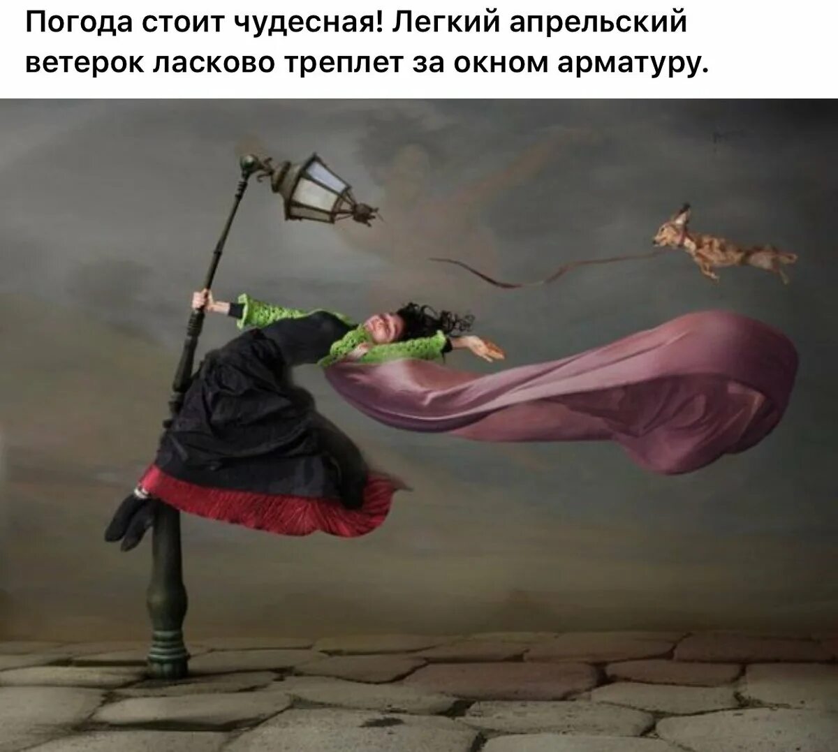Какой нибудь ветер. Легкий ветер треплет арматуру. етеок трурлет арматуру. веселые открытки сильный ветер. ветерок треплет арматуру.