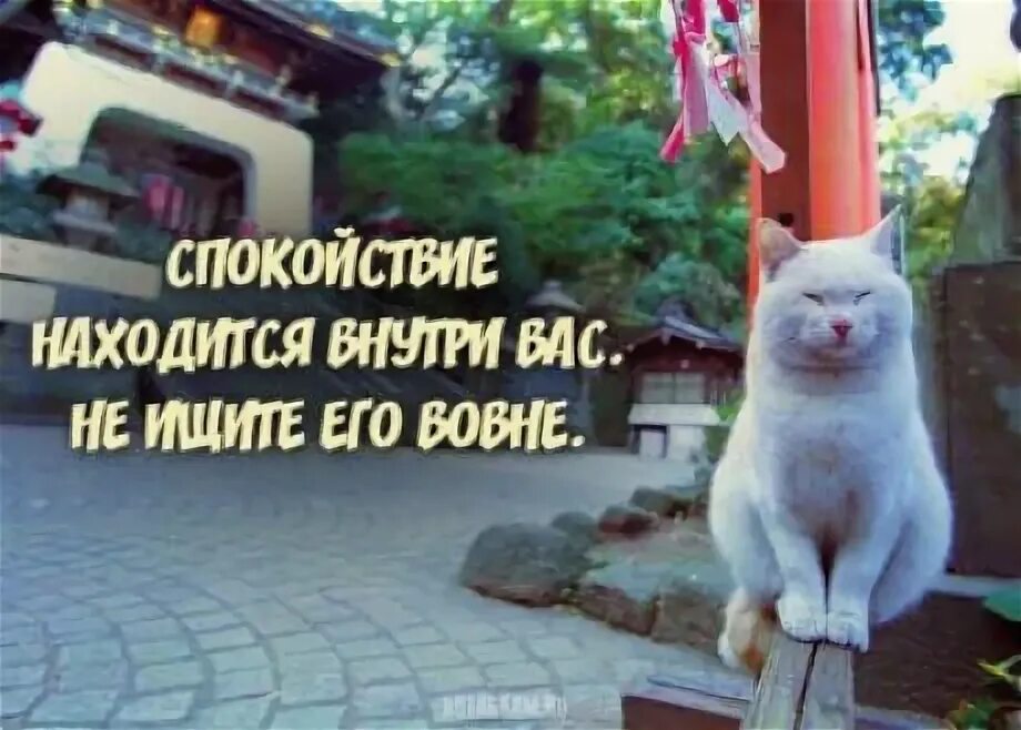 Вовне это. Монах шаолинь медитирует. Вне что значит. Записать слова. Вовне это.