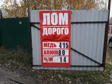 Бердск доллар