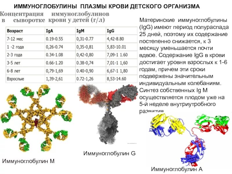 Концентрация иммуноглобулинов в крови. Уровень иммуноглобулинов у детей. Уровень иммуноглобулинов у детей. Иммуноглобулин норма у детей 8 лет норма. Иммуноглобулин ige норма у женщин.