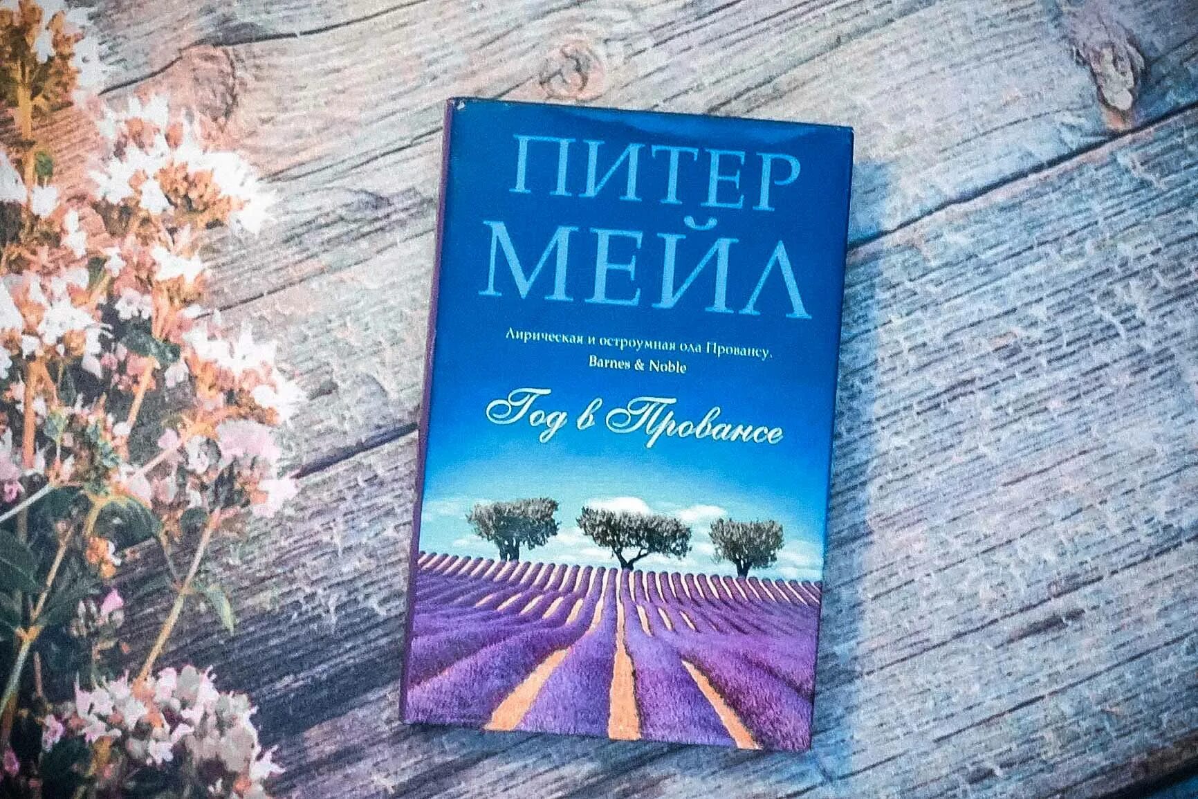 Книги mail ru. Питер мейл "год в Провансе". Питер мейл, «год в Провансе» (2014 г.). Питер мейл "Франция". Год в Провансе Питер мейл книга.