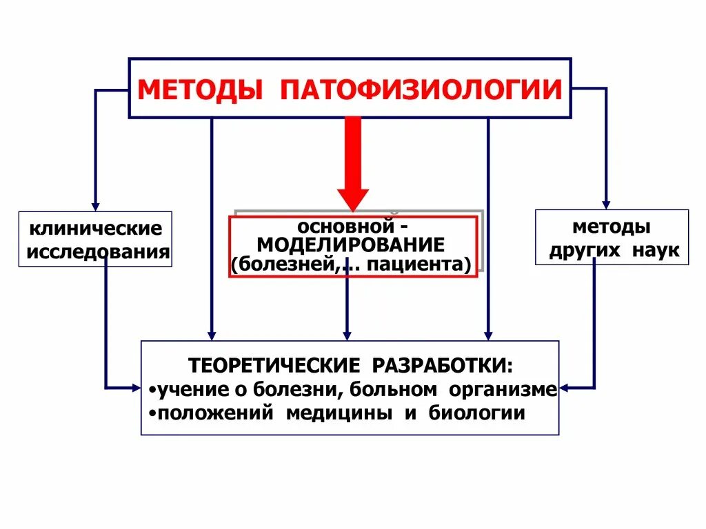 Экспериментальное моделирование болезней патофизиология. Методы патофизиологии. Методы патофизиологии моделирование. Методы исследования в патофизиологии.