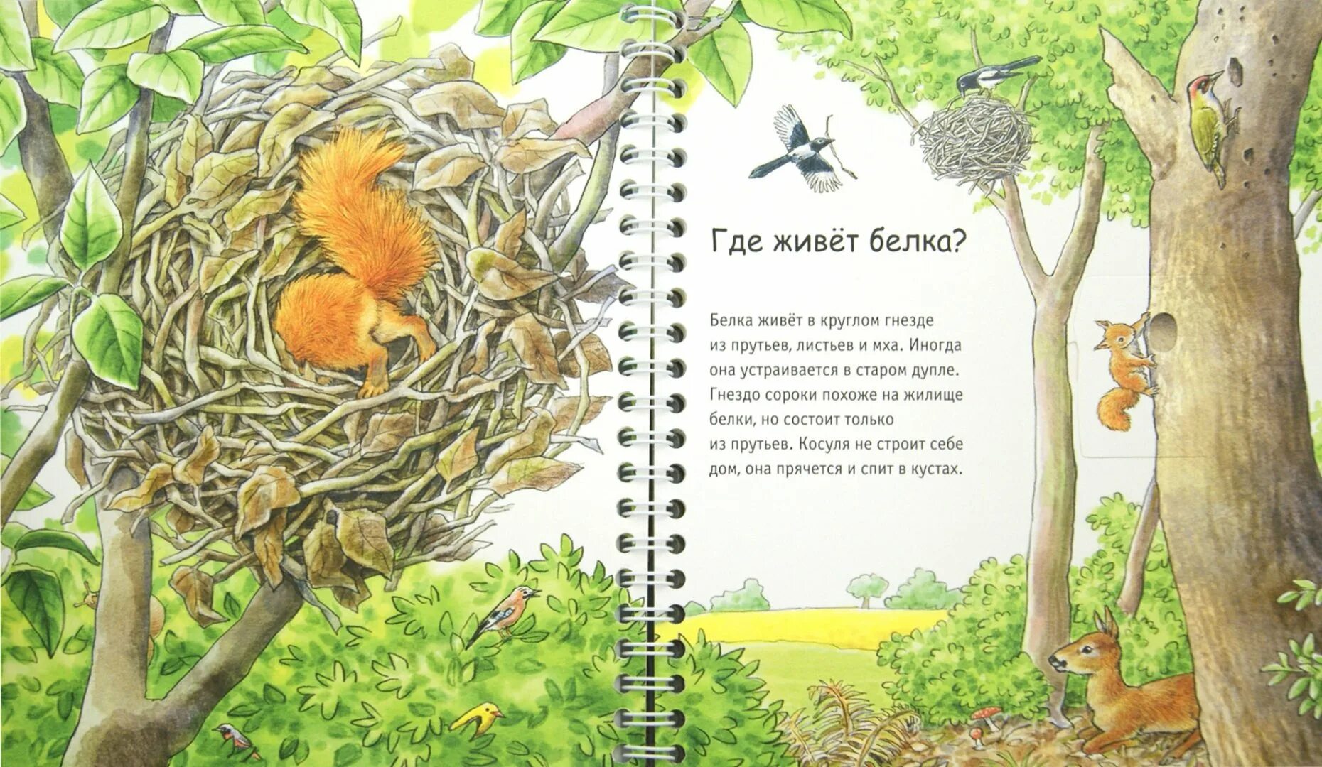 Карта россии где живут животные. Книги где звери. Животные россии на карте. Страна россия с животными. Где обитают животные?.