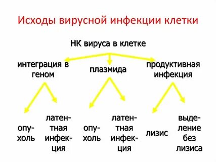 3 вирусные инфекции