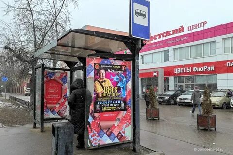 Цирк домодедово