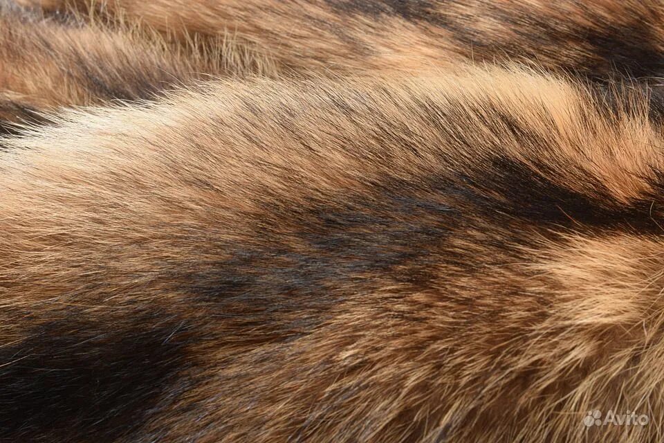 шубы из меха тигра. Fox fur (лисье манто). шкурки меховые выделанные. меховые шкурки. мех куницы.