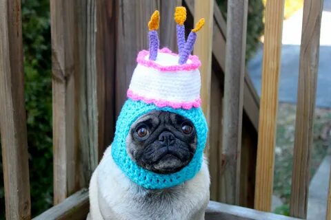 Happy Happy Birthday Cake Dog Hat  Made To Order. etsy.com. 