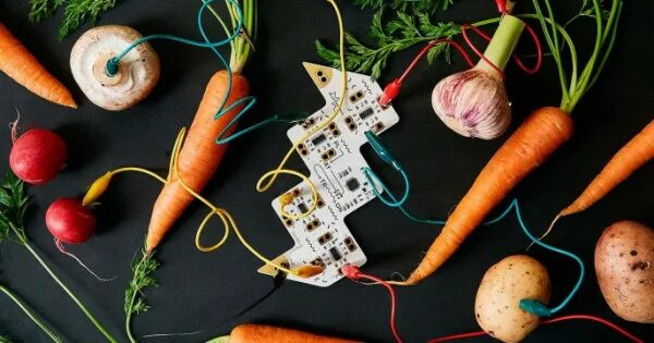 Playtronica. Playtronica овощи. Playtronica. Диджей на фруктах. Оркестр из фруктов.