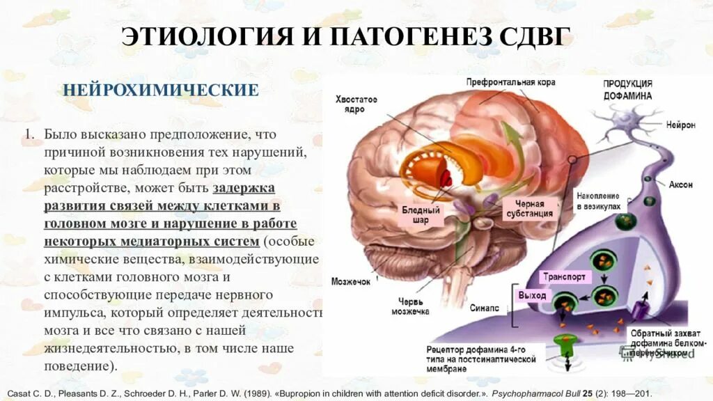 Синдромы нарушения внимания. СДВГ механизм развития. Этиология и патогенез СДВГ. Патогенез СДВГ. Гиперактивность патогенез.