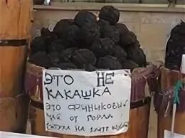 Какашки дура