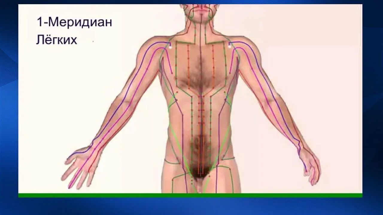 Каналы китайской медицины. 12 Меридианов в китайской медицине. Энергетические меридианы человека схема. Энергетические меридианы человека китайская медицина. Меридианы в китайской медицине схема.