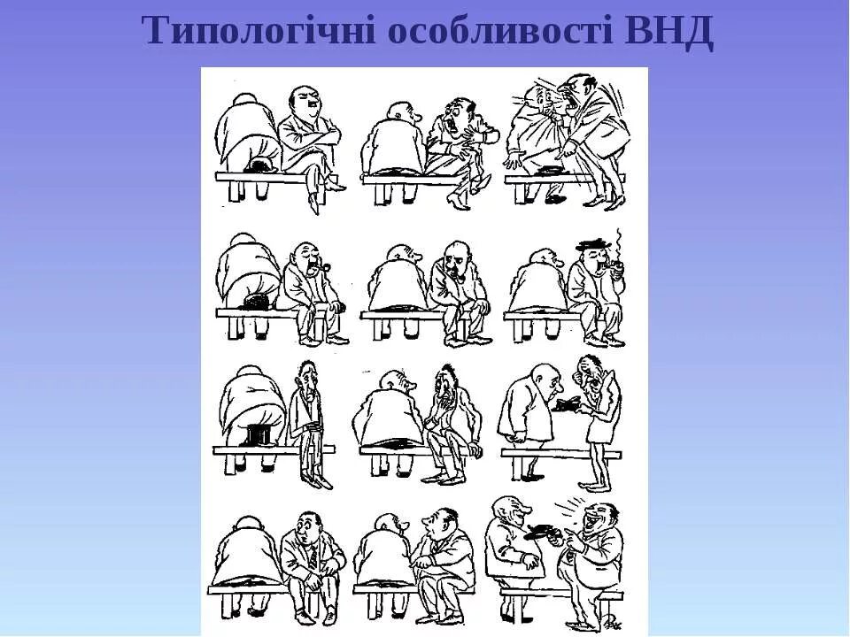 Реакции человека на шляпу. Темперамент и профессия. Человек сел на шляпу. Типы личности шляпа. Реакции человека на шляпу.